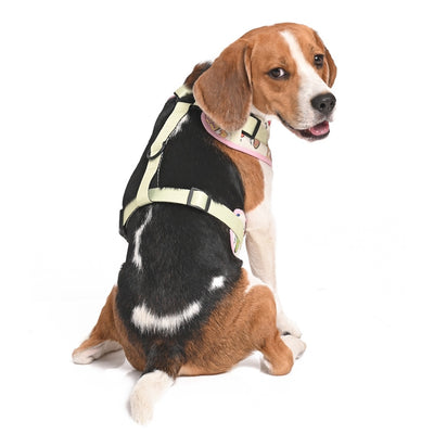 Harry Potter - Every Flavour Bean Harness