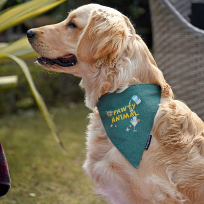 Mutt Of Course Pawty Animal Bandana - Accessories for dogs